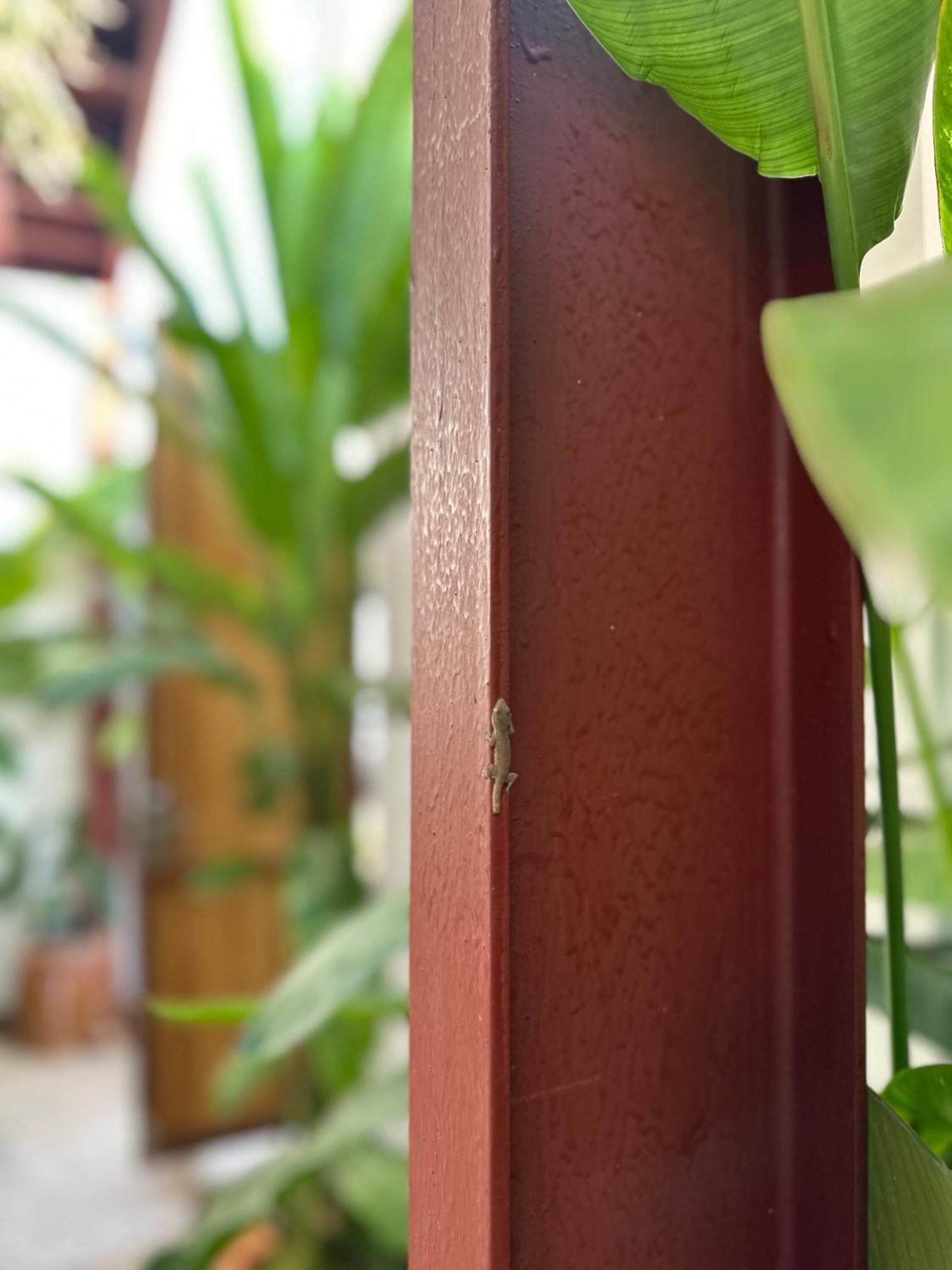 Palmcalina - Phuqui Beach House Cu Lao Thu Екстер'єр фото