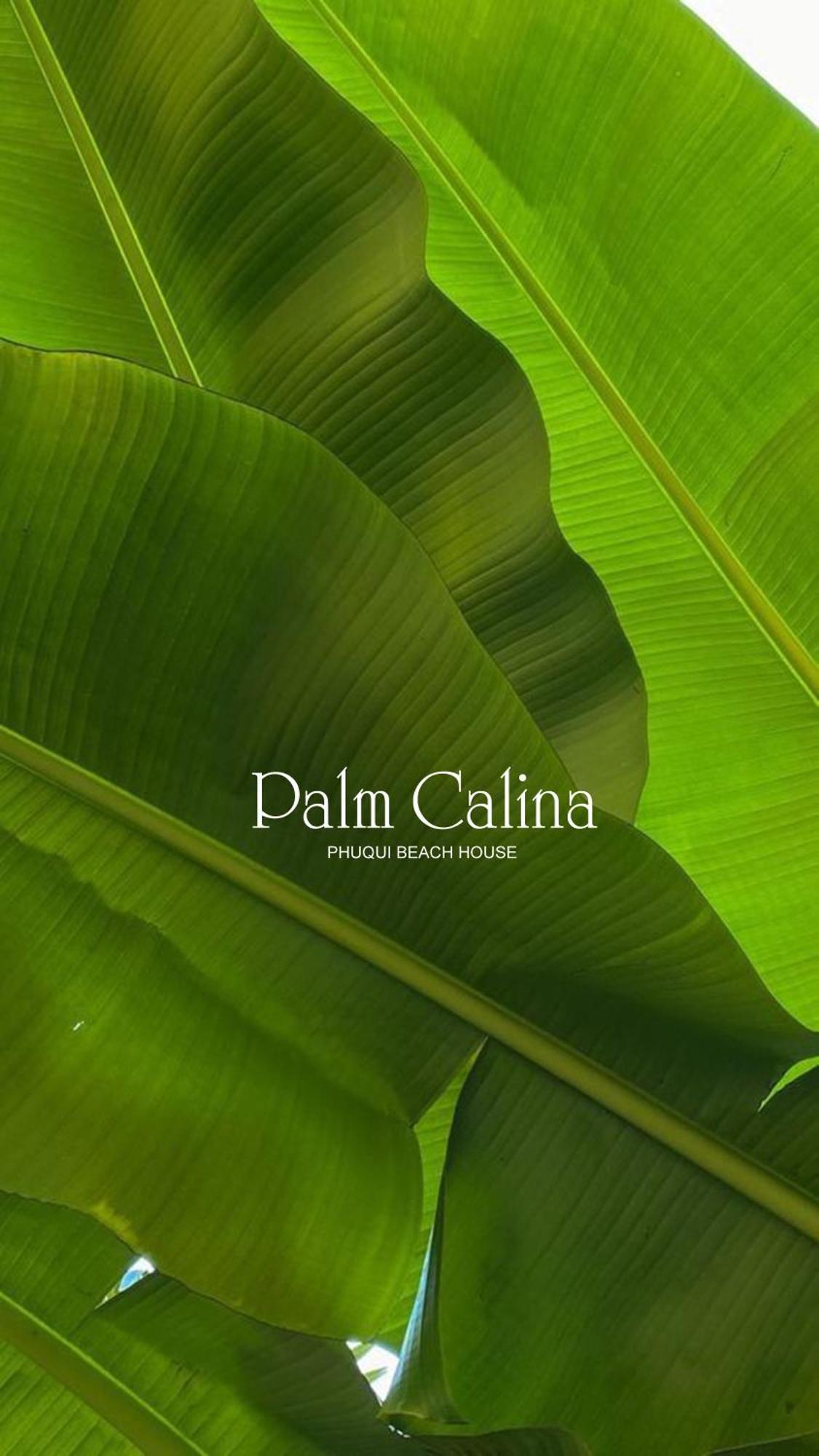 Palmcalina - Phuqui Beach House Cu Lao Thu Екстер'єр фото
