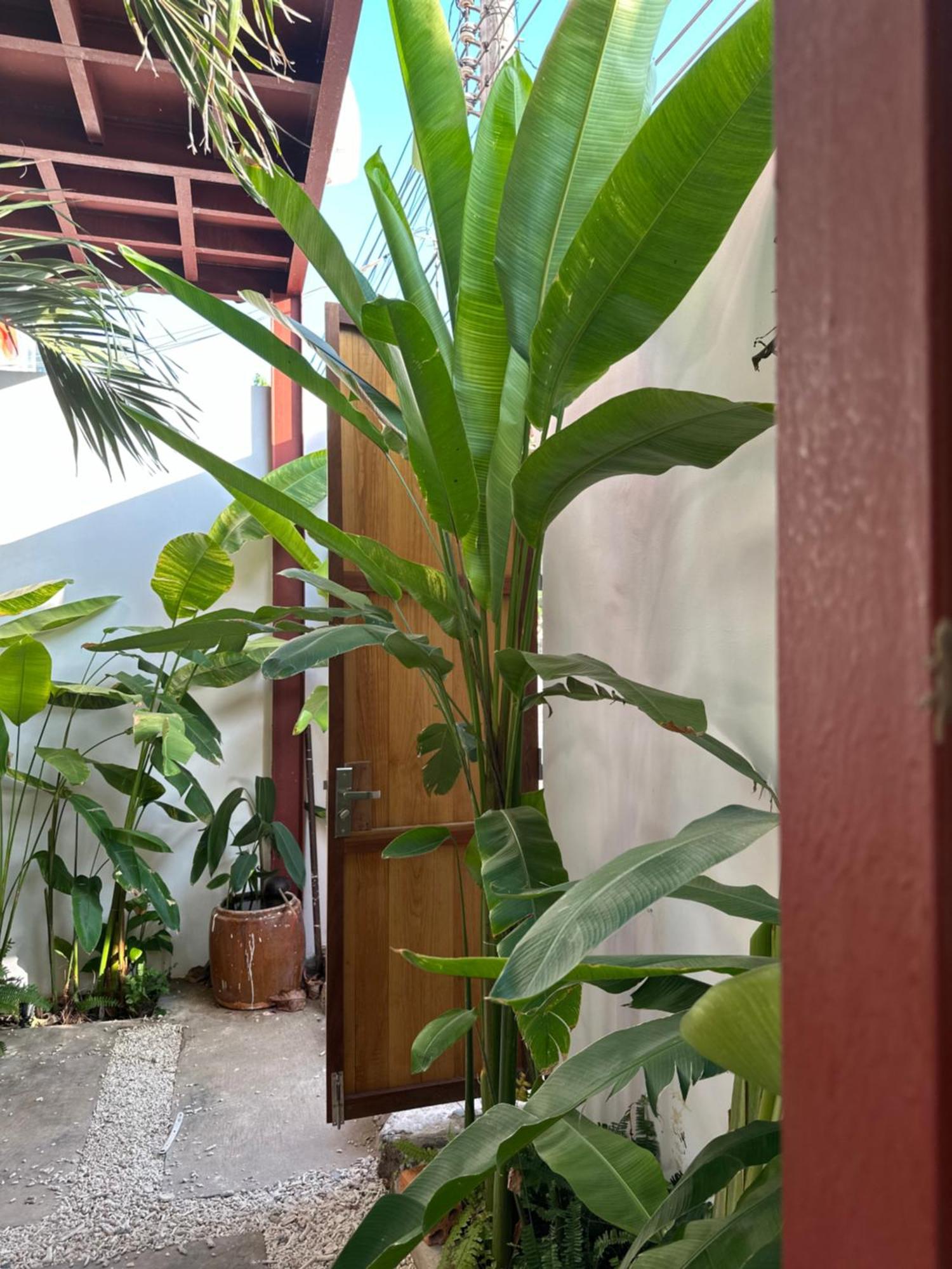 Palmcalina - Phuqui Beach House Cu Lao Thu Екстер'єр фото