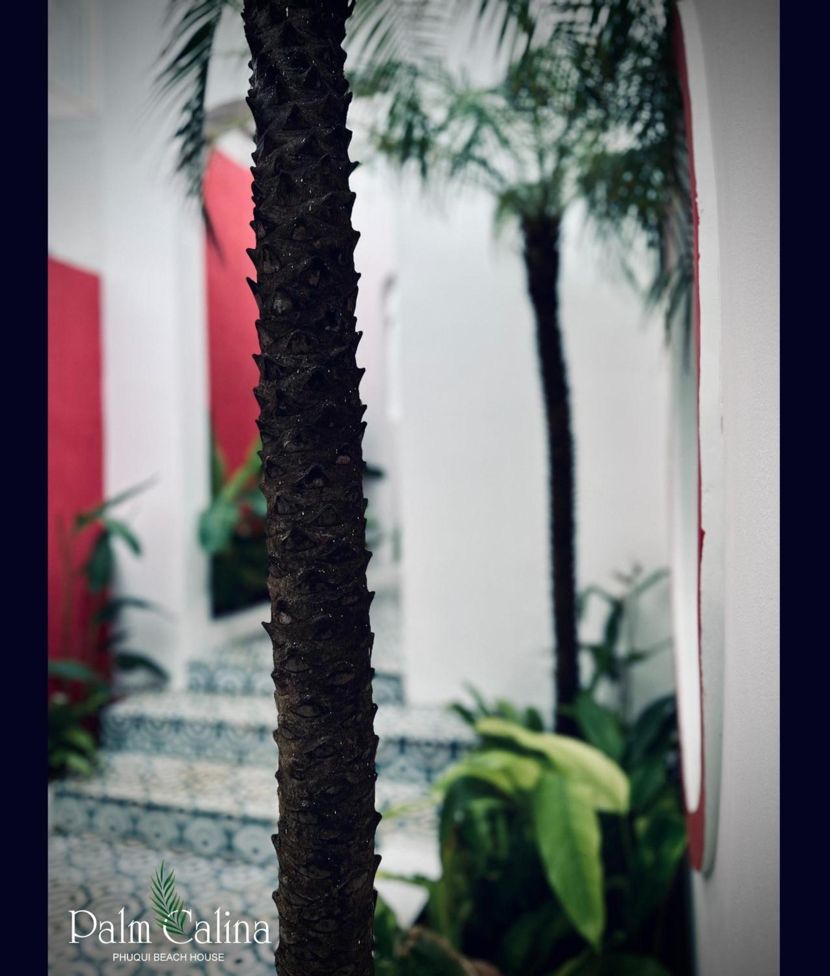 Palmcalina - Phuqui Beach House Cu Lao Thu Екстер'єр фото