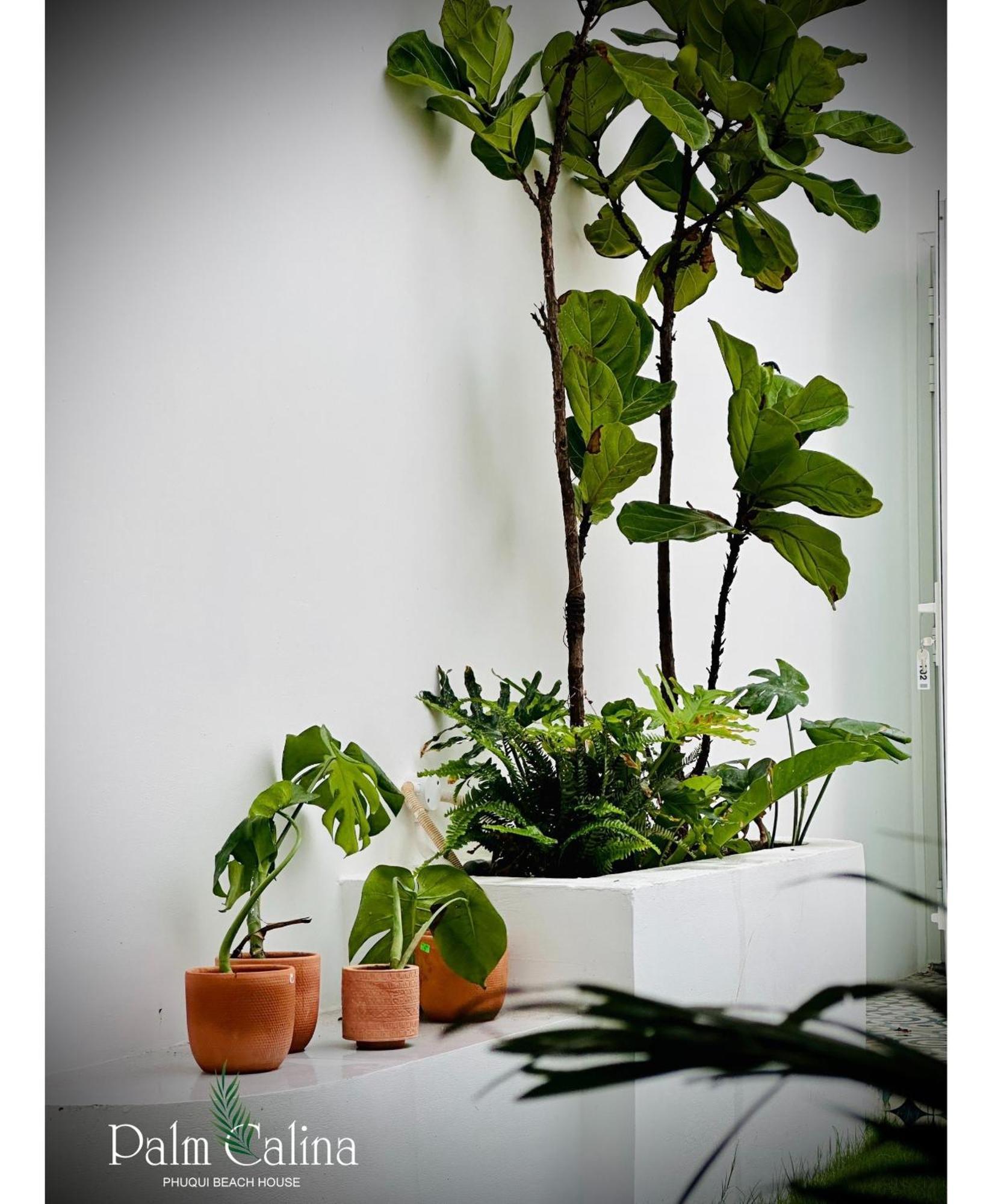 Palmcalina - Phuqui Beach House Cu Lao Thu Екстер'єр фото